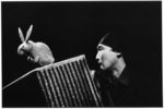 Noriyuki Sawa (Japán): Erdő 