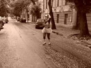 Temesvári Csiky Gergely Állami Magyar Színház (Románia): Gianina Cărbunariu: mady-baby