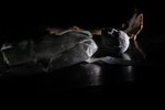 Kovács Domokos: Dancing On A Grinder