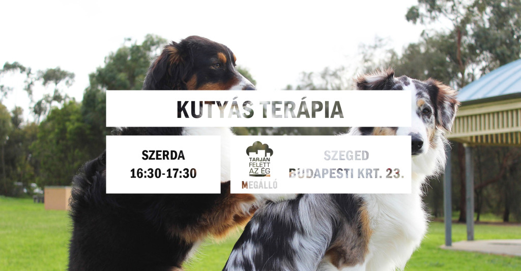 kutyas_09-04