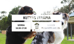 kutyas_09-04