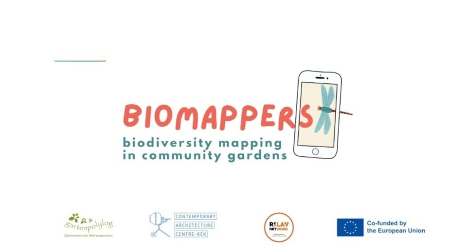 506164559_1174083848080529_1281098504694826968_n