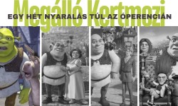shrek1