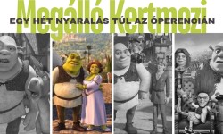 shrek2